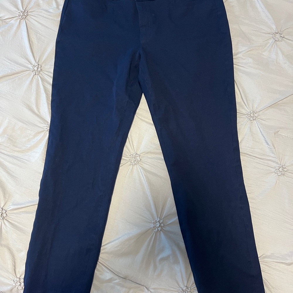 Banana Republic Sloan Dark Blue Pants